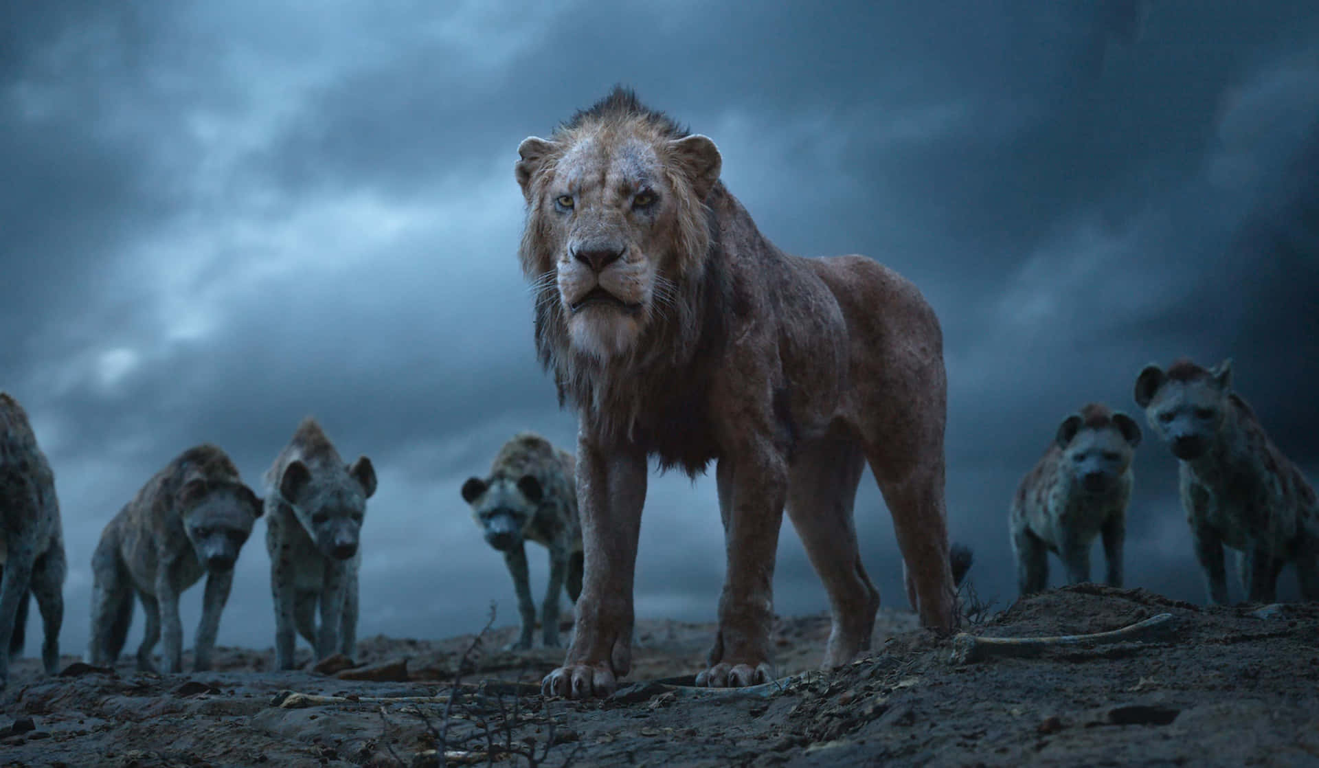Scar tager hans hævn i Disneys Den Kgl. Lion King Wallpaper
