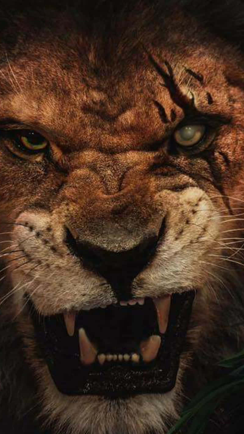 Eltío Despiadado: Scar De El Rey León De Disney Fondo de pantalla
