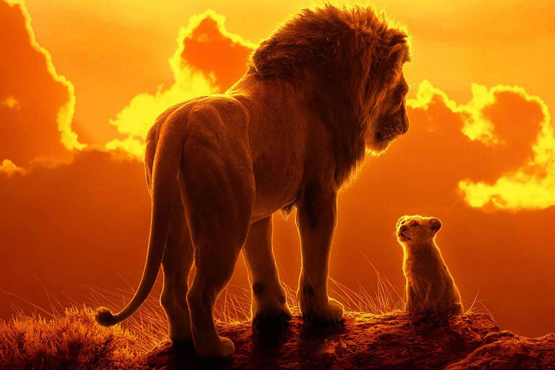 lion king sunset scene