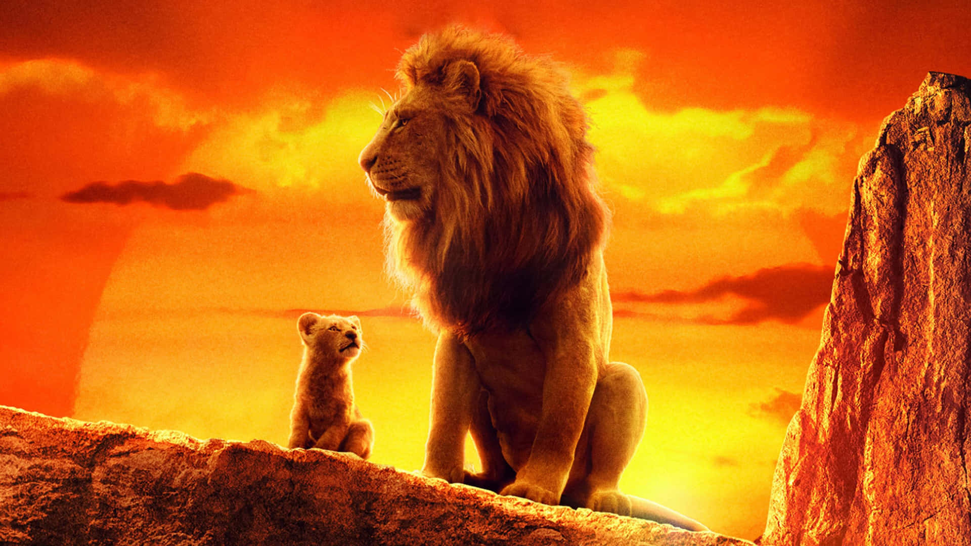 Lion King Sunset Simbaand Mufasa Wallpaper