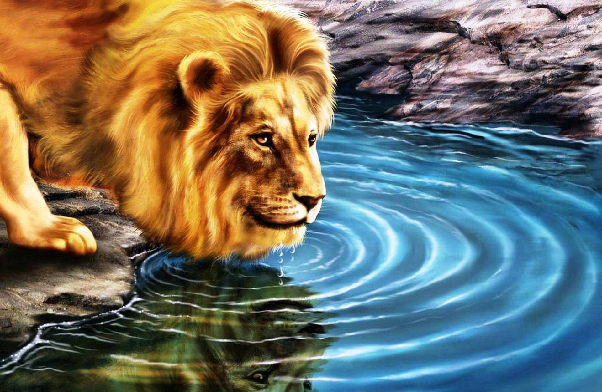 Lion Levende 3d Wallpaper