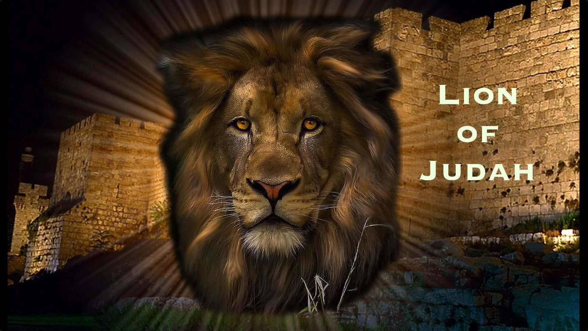 Download Lion Of Judah 1920 X 1080 Wallpaper Wallpaper | Wallpapers.com