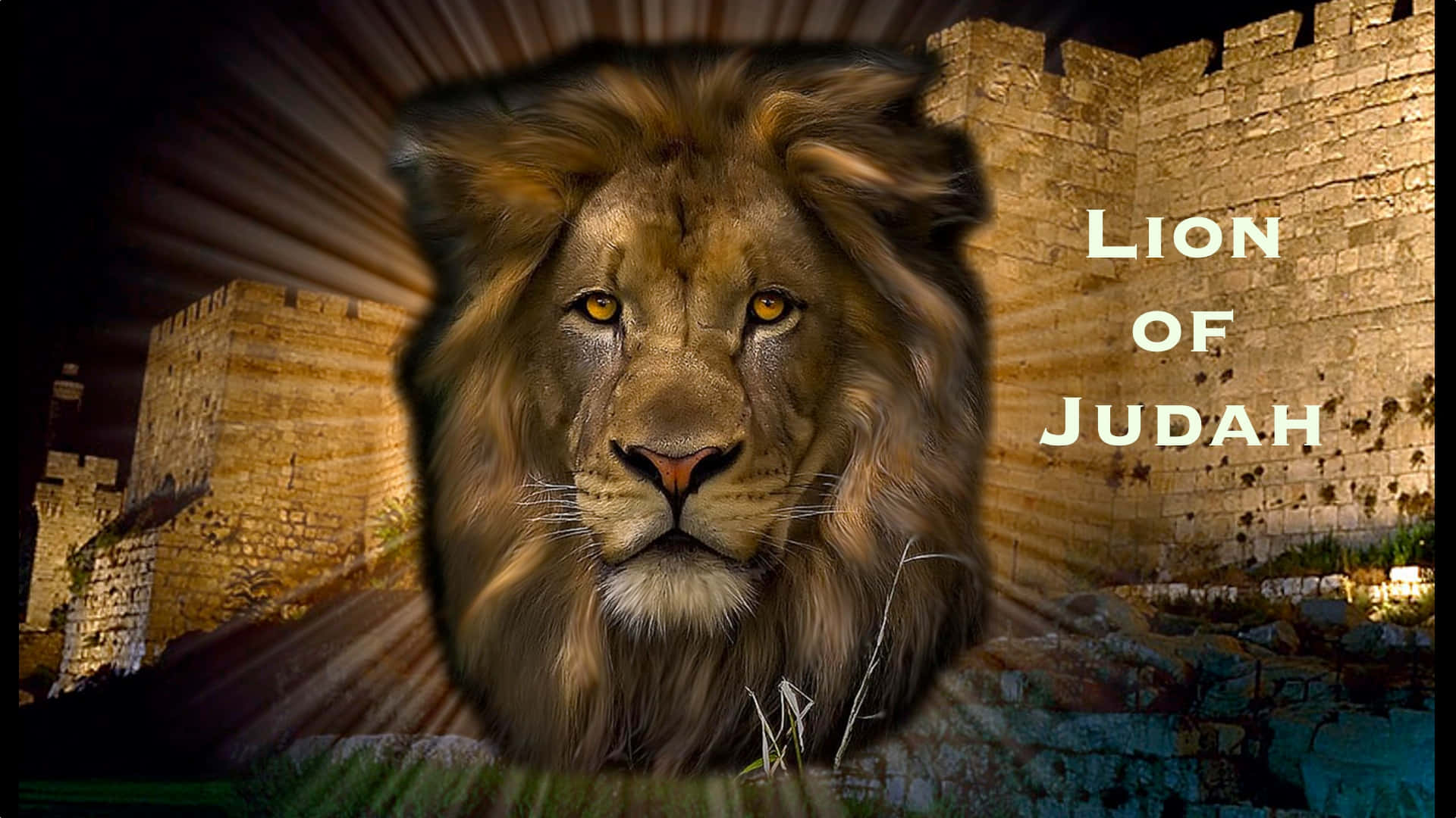Standing Proudly, The Lion Of Judah