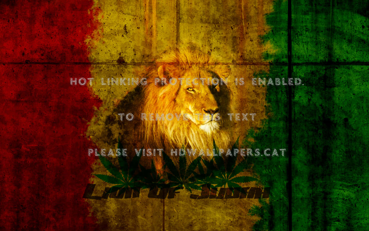 "The Mighty Lion of Judah"