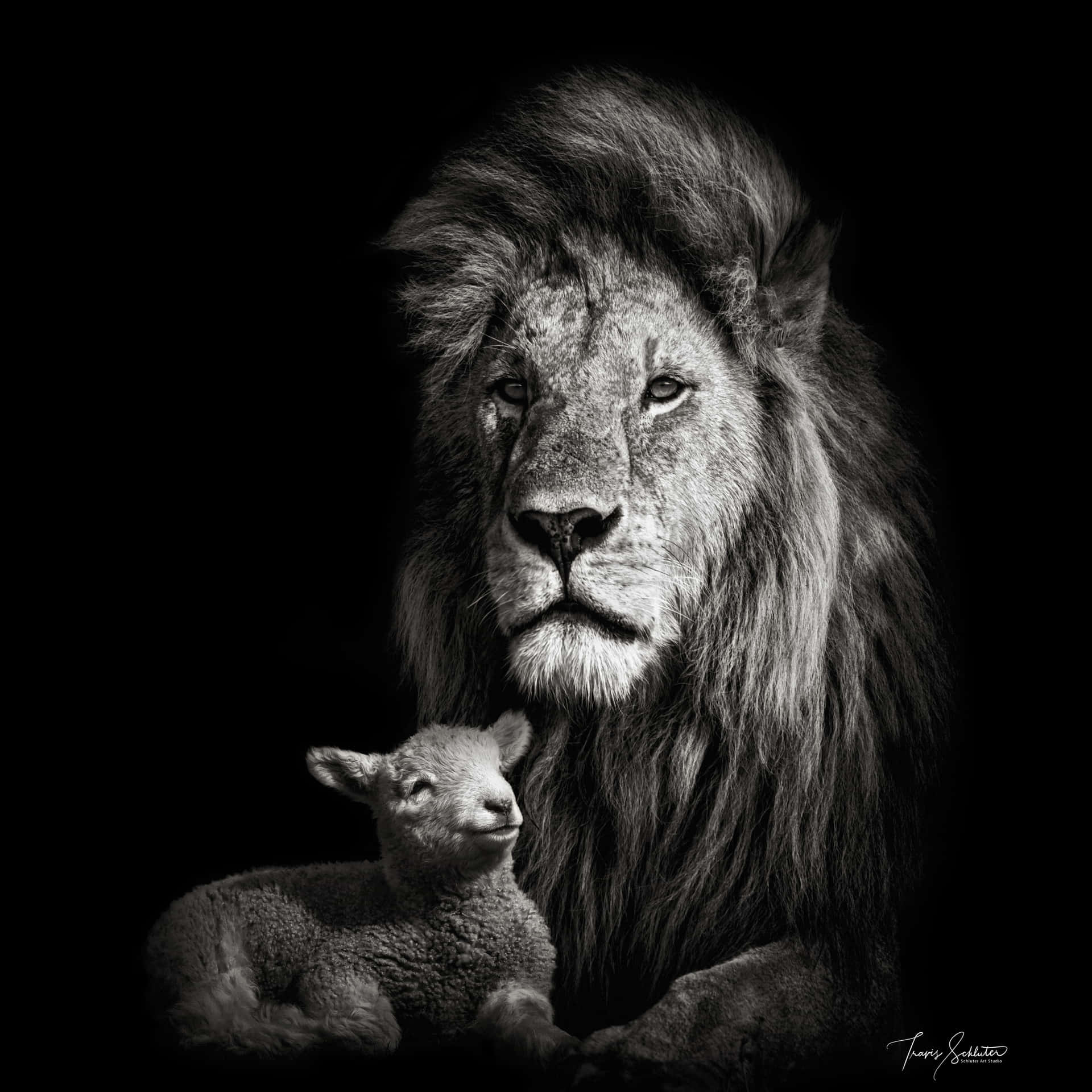 Trädin I Din Inre Styrka Med Lejonet Från Juda.