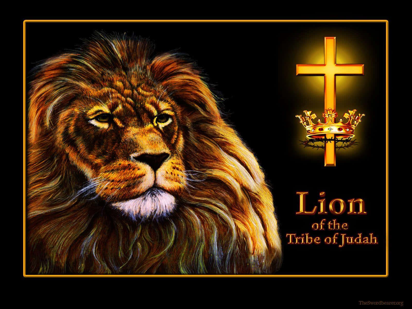 Kongen over konger, Løven af Juda stirrer ned fra dette mønster.