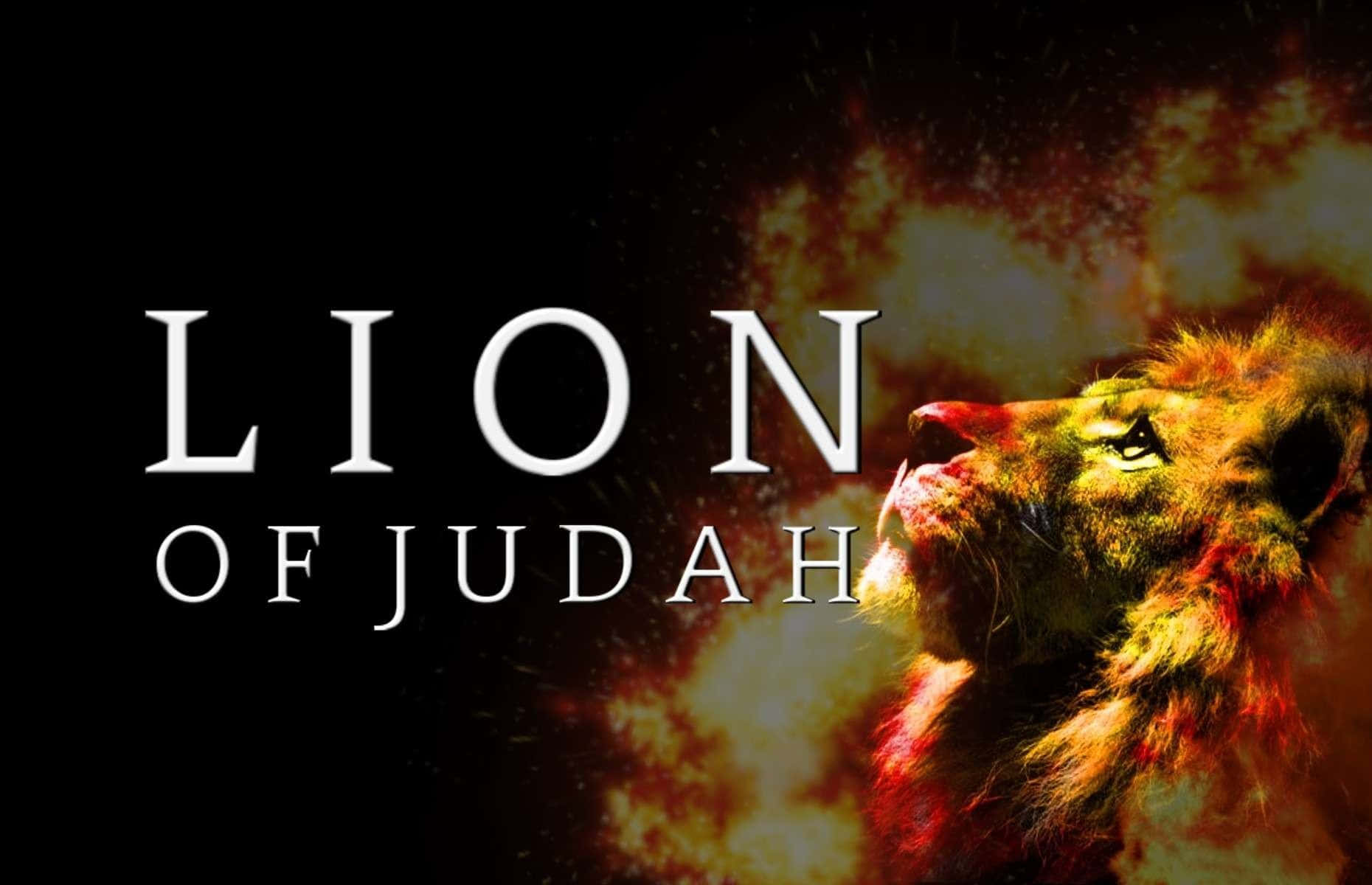Roar with Pride of the Lion of Judah