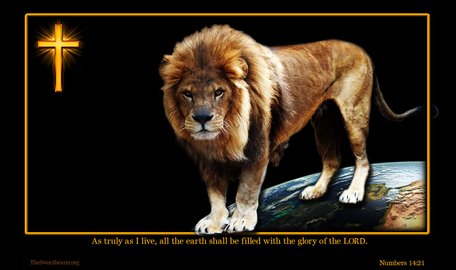 The Majesty of the Lion of Judah