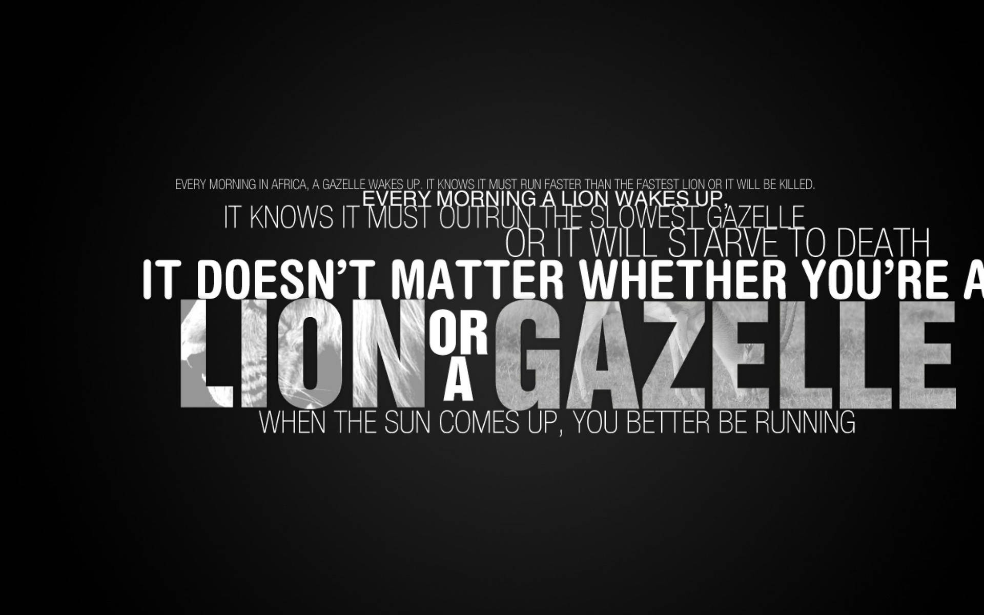 Lion Or Gazelle Fitness Motivations Background