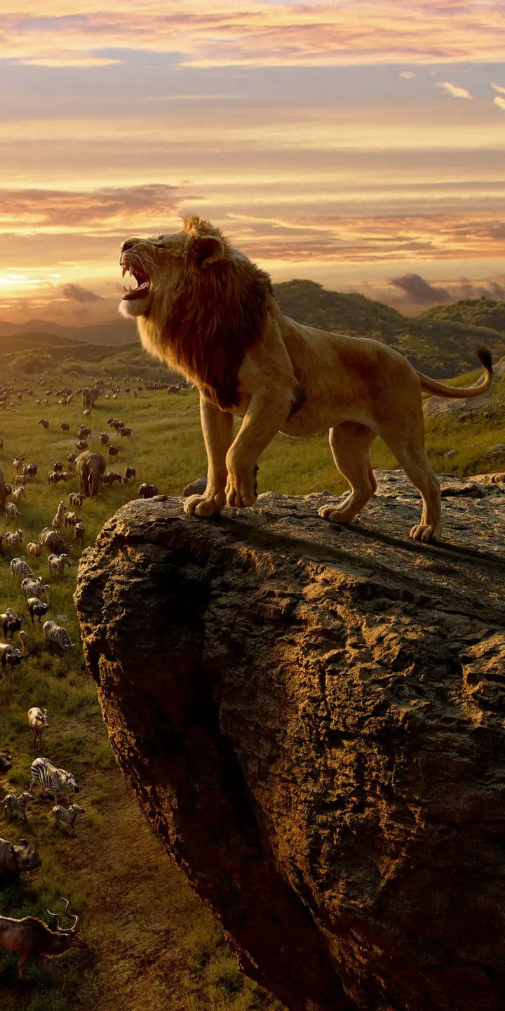 Lion Phone King Roar Wallpaper