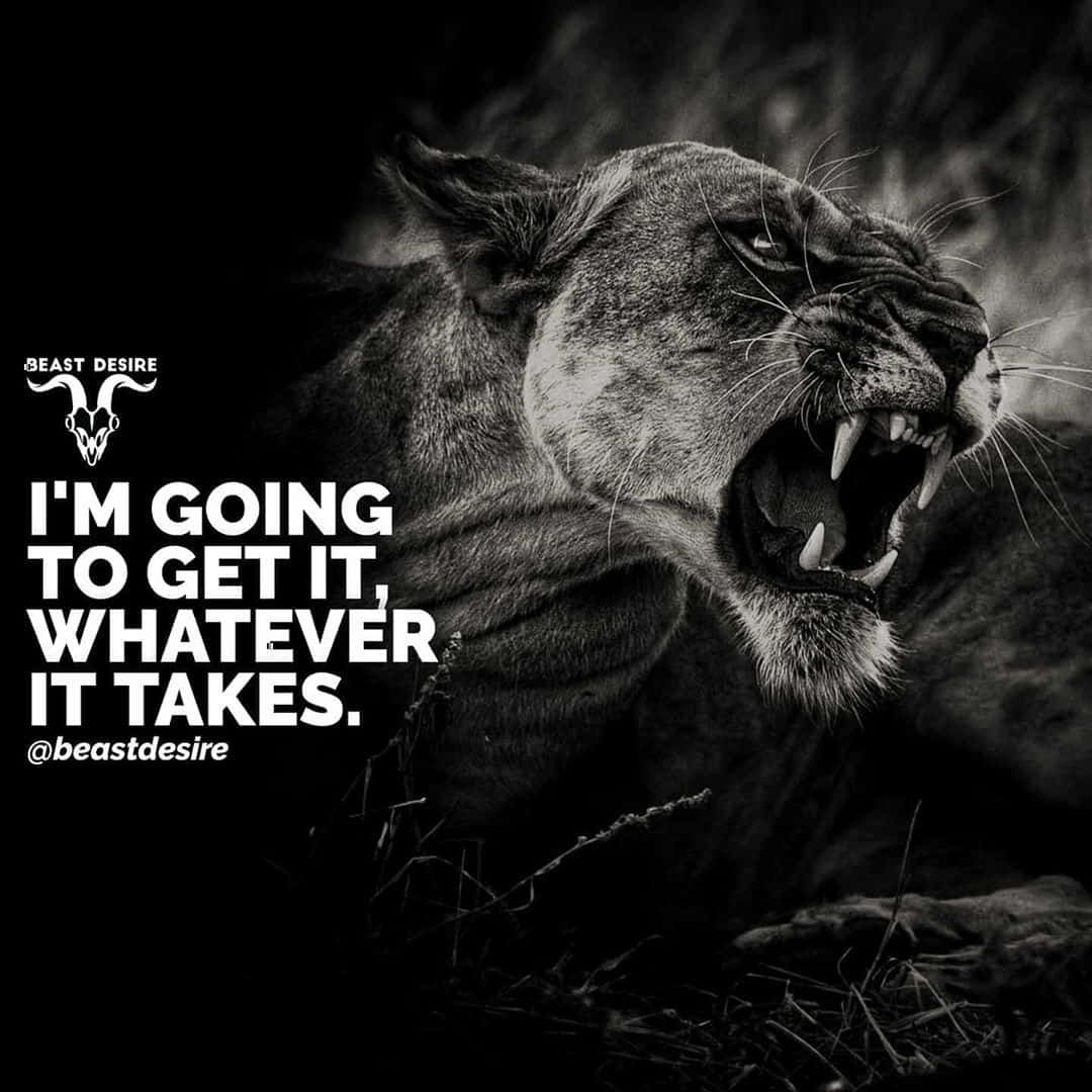 Whatever it takes HD wallpapers | Pxfuel