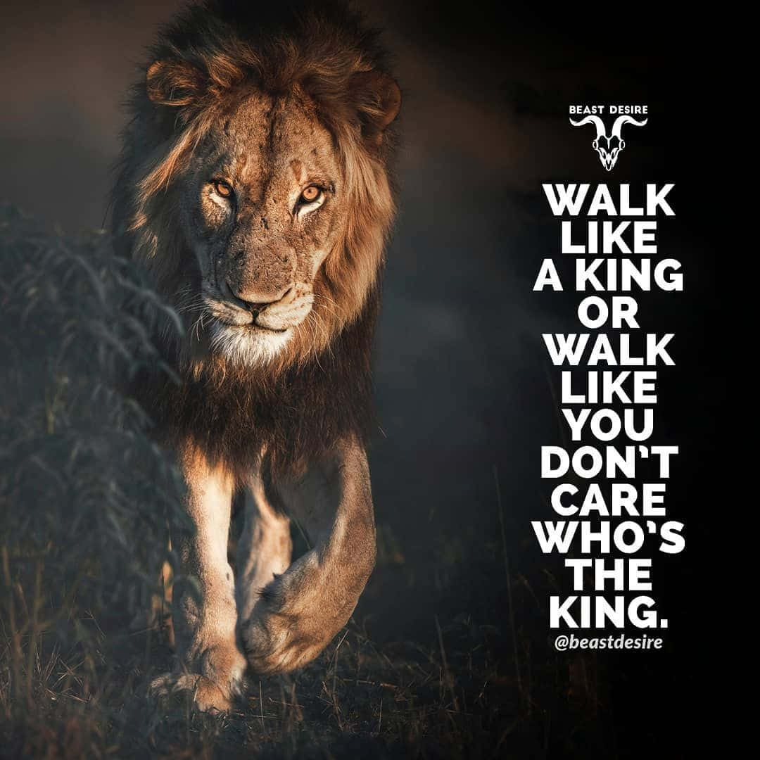 “The roar of a lion is the most powerful sound in the animal kingdom.” Wallpaper