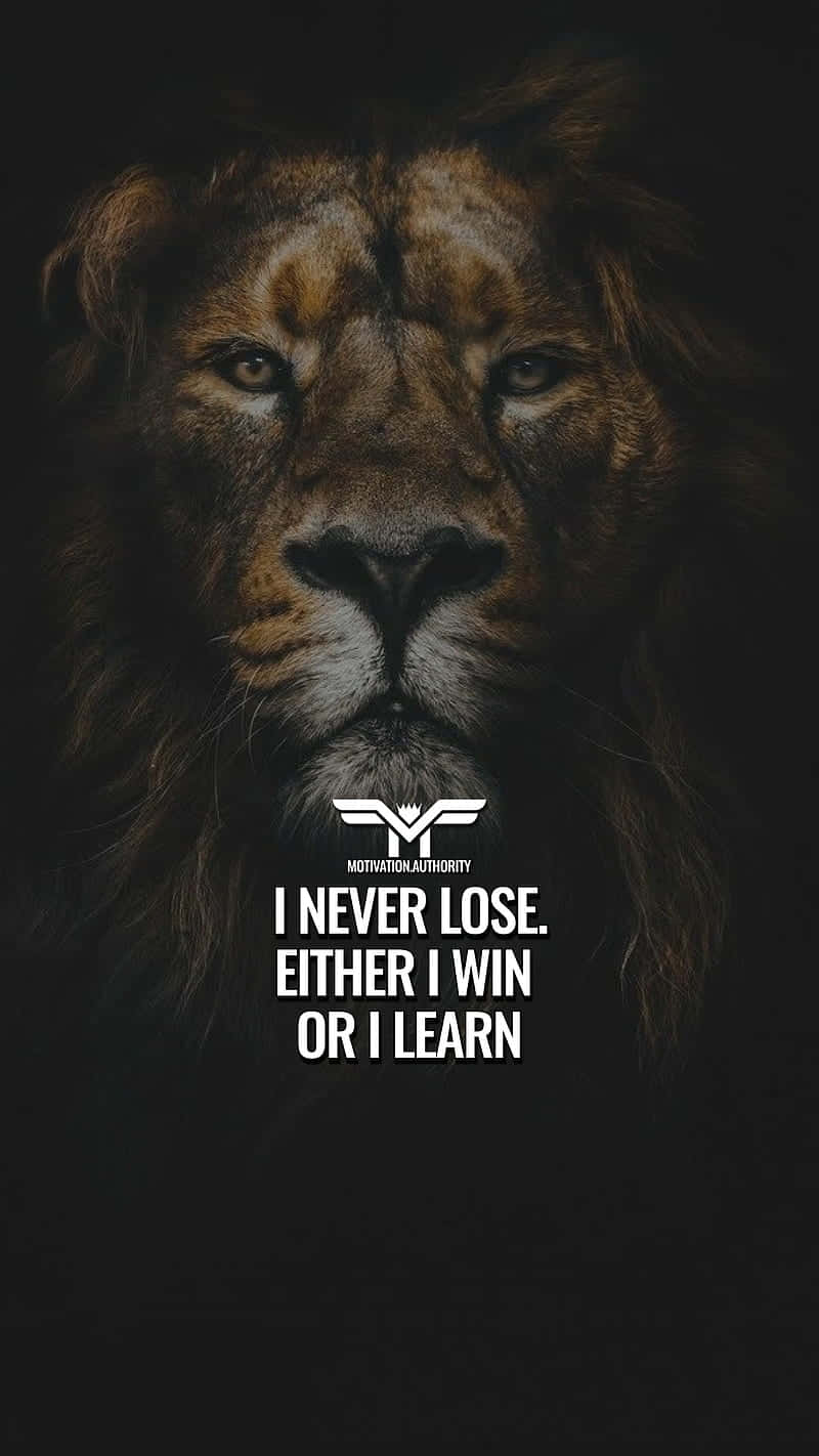 Livet er Kuben, succes er Løven. Wallpaper