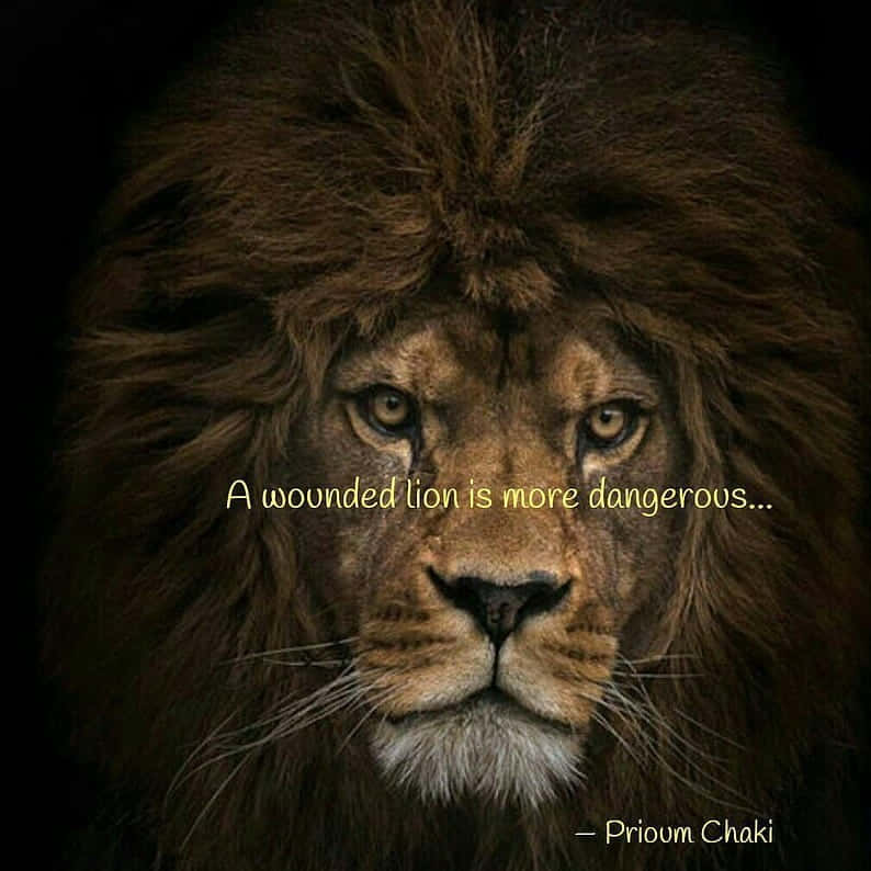A Lion With The Quote, A Grounded Life Is More Dangerous Wallpaper