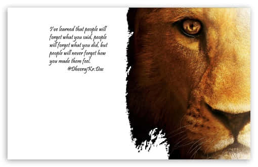 "Be brave and take risks - Just like a lion" Wallpaper