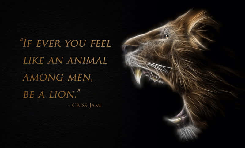 Download Lion Quotes Wallpaper 