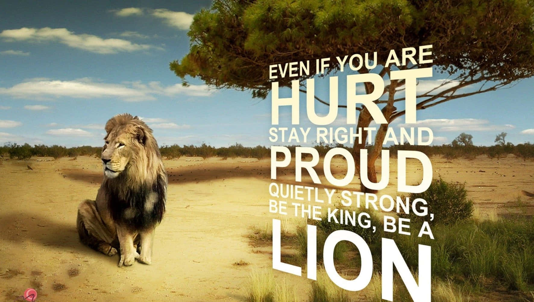 "The lion is a symbol of courage and strength" Wallpaper
