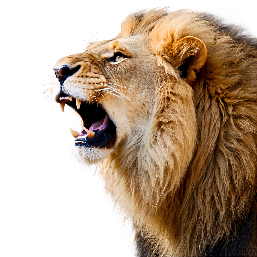 Lion Roaring Loud Png 81 PNG