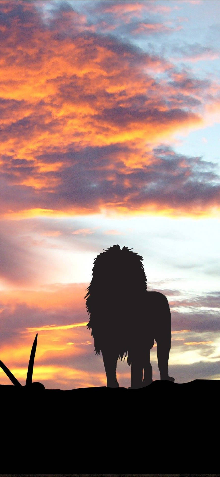 Lion Silhouette Africa Iphone Wallpaper