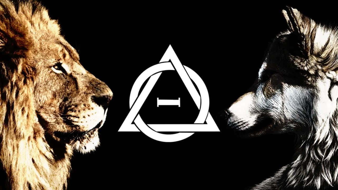 Download Lion Wolf Therian Symbol Wallpaper | Wallpapers.com