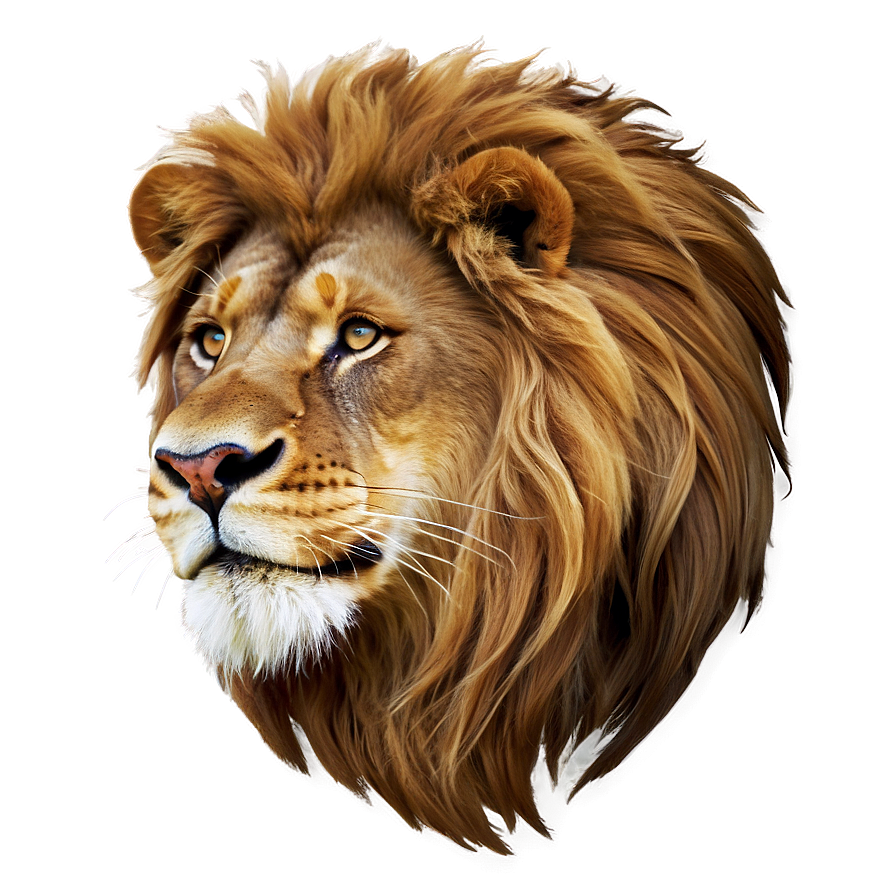 Download Lion Zodiac Sign Png 30 | Wallpapers.com