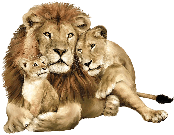 Lion_ Family_ Portrait PNG