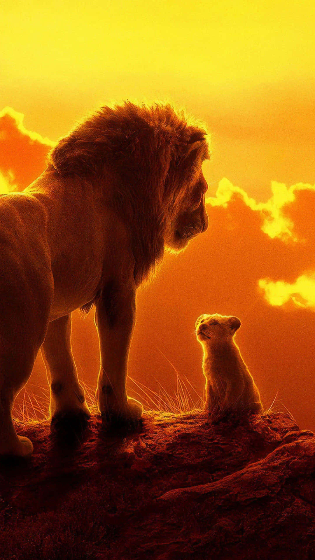 Lionand Cub Sunset Silhouette Wallpaper