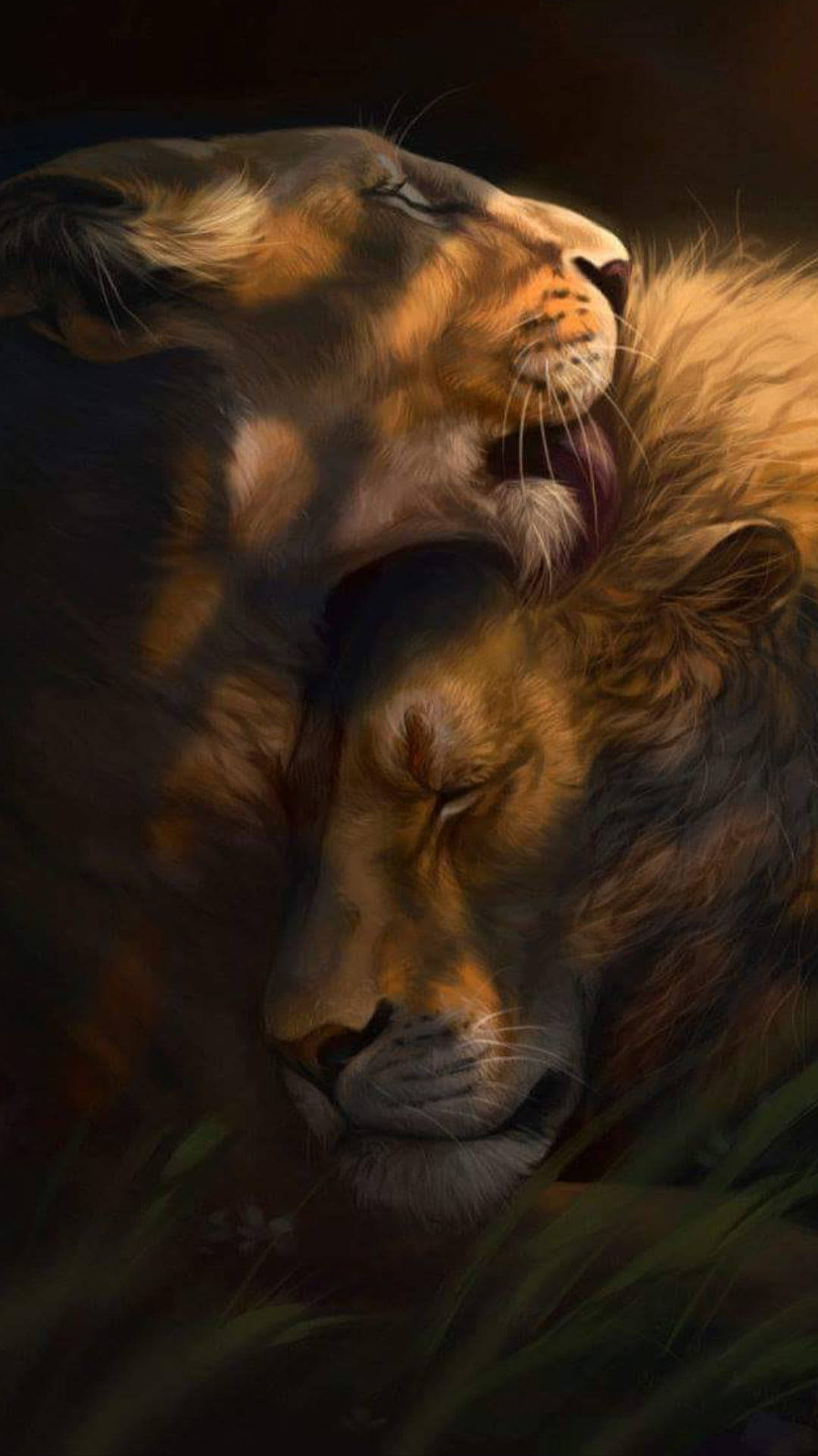 Lioness And Lion Phone Wallpaper