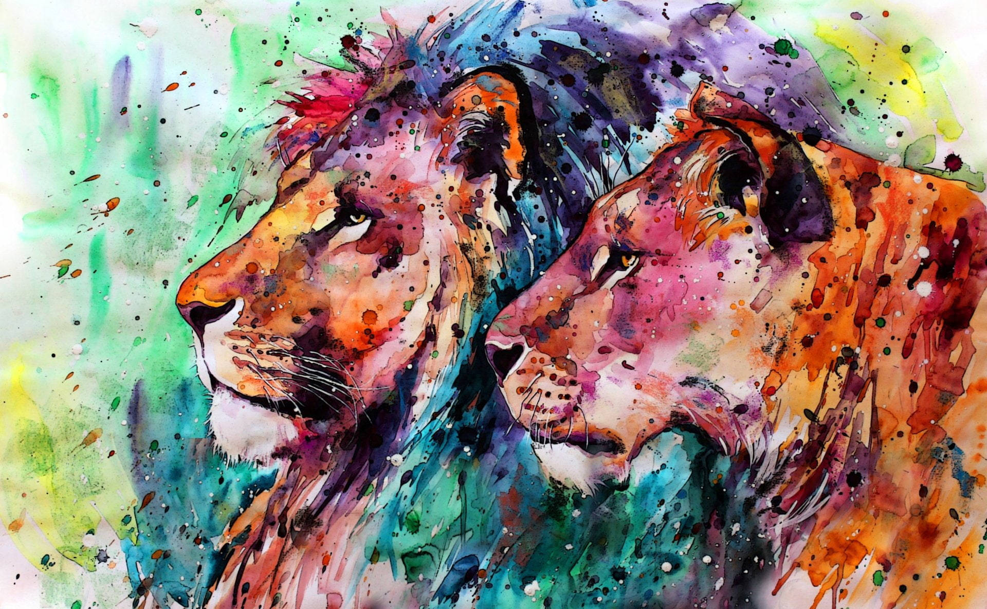 Lions Colorful Painting Desktop Wallpaper