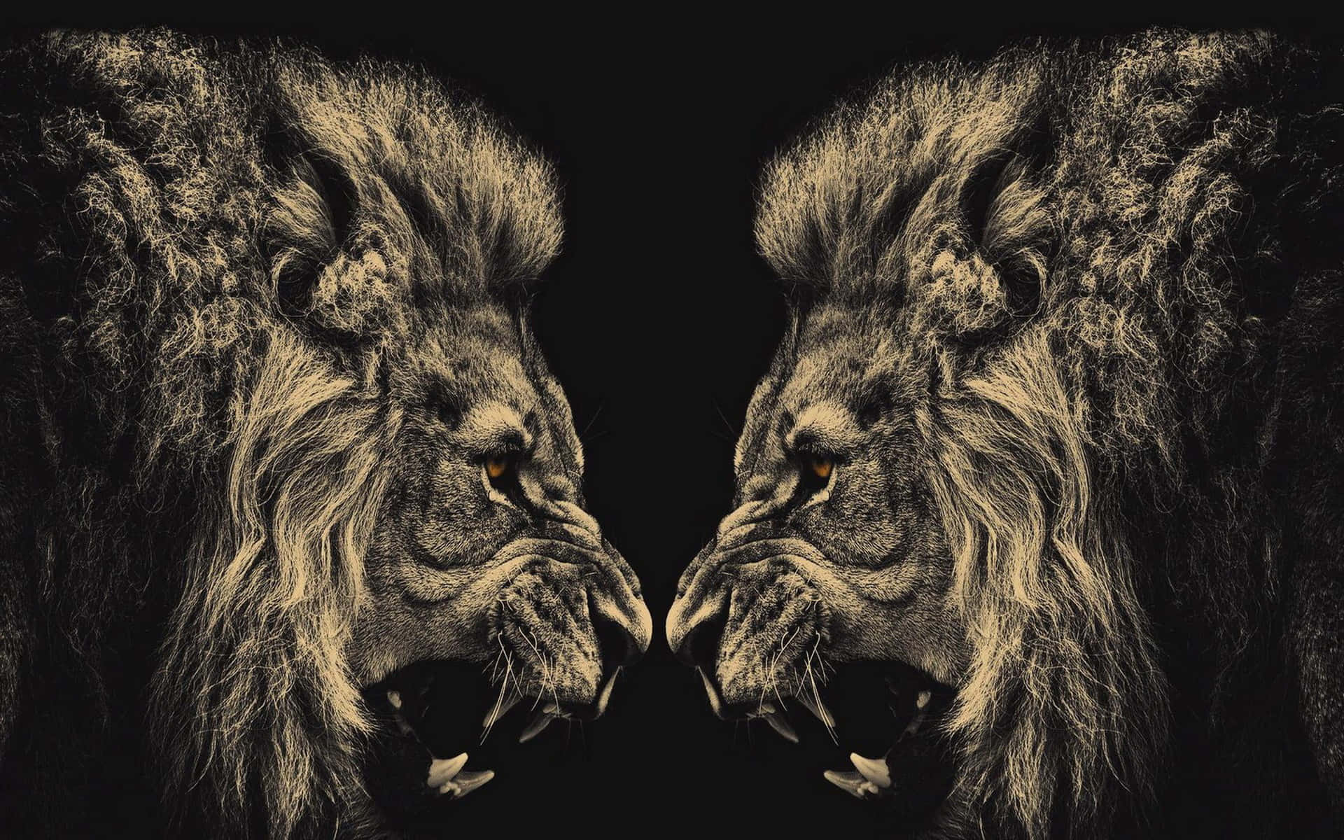 Lion Tiger and Bear Tattoo | TikTok