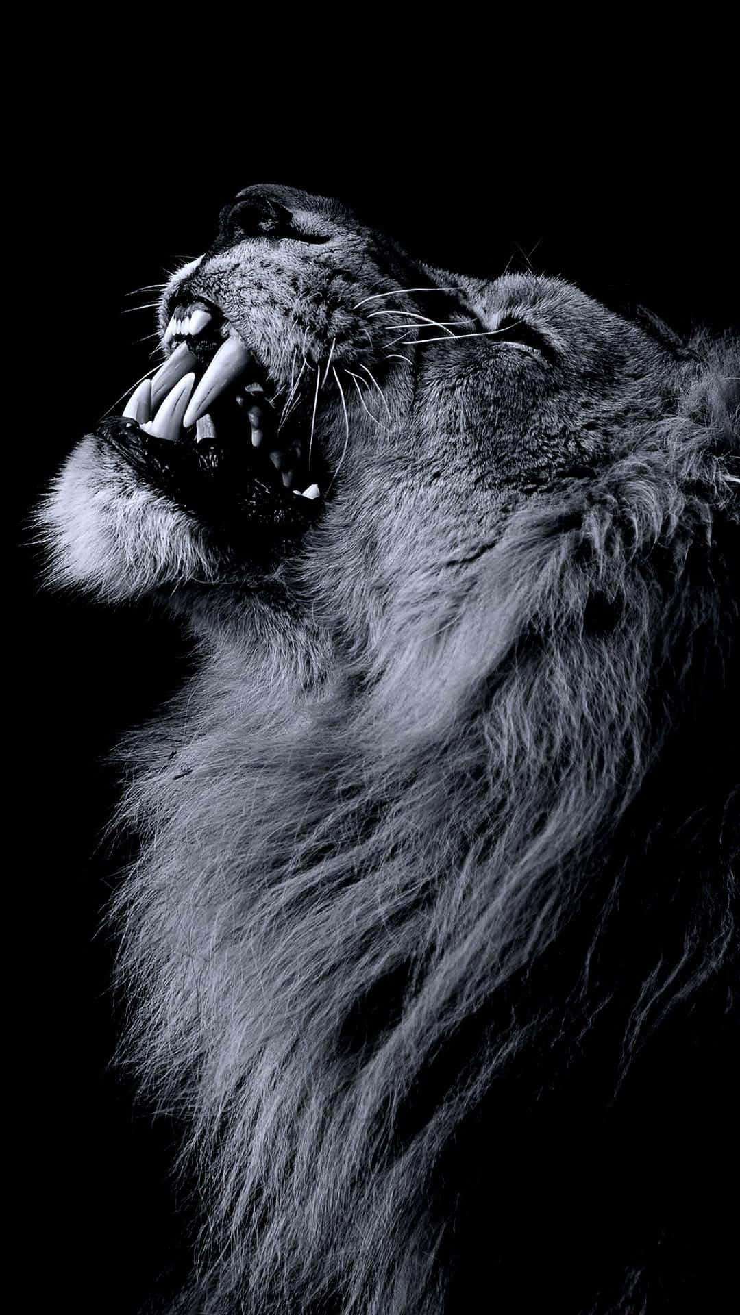 Einstolzer Löwe, Der Brüllt Und Stärke Symbolisiert.