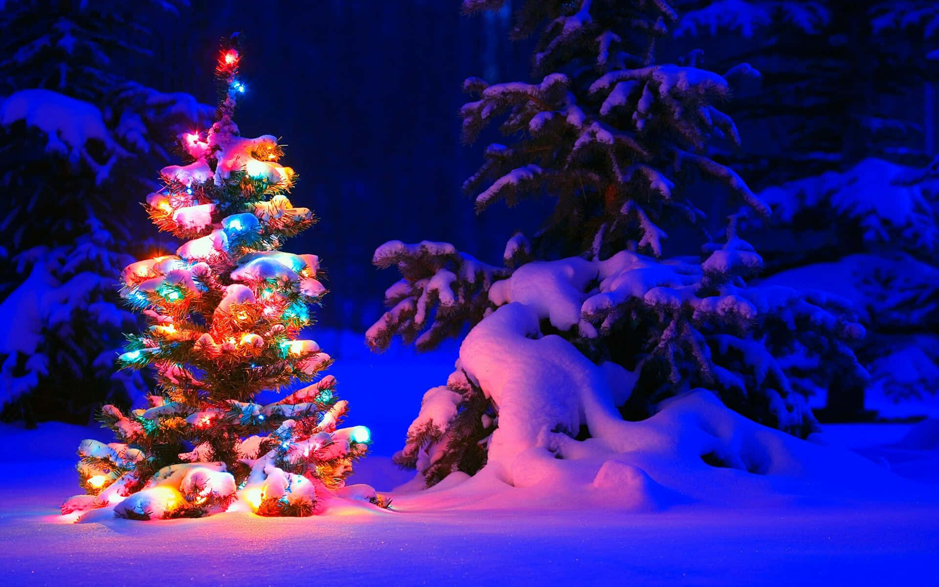 Fondode Pantalla De Alta Resolución De Un Árbol Iluminado En Navidad Para Escritorio. Fondo de pantalla