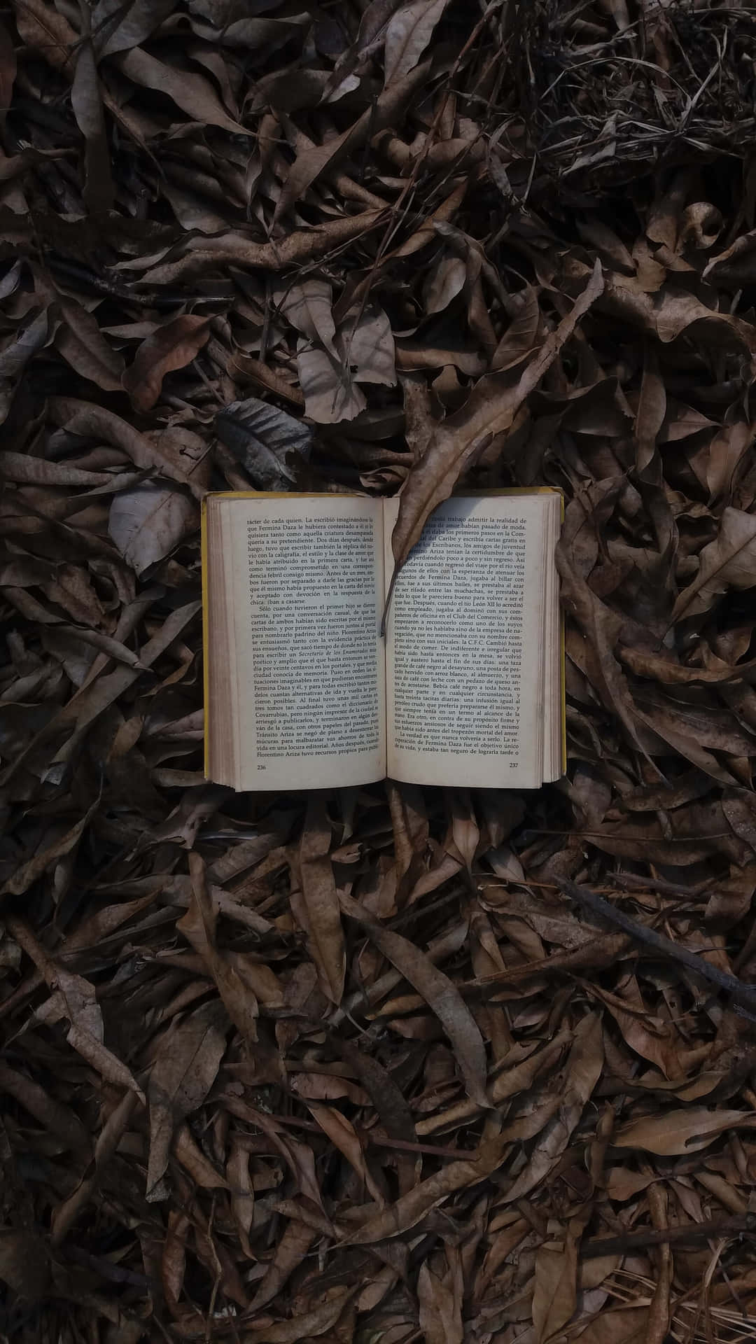An Old Book Laying On Top Of Leaves