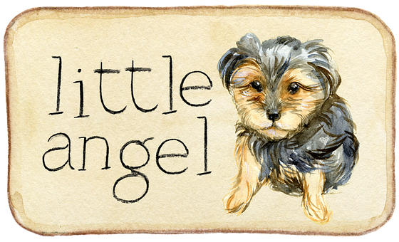 Little Angel Yorkie Puppy Illustration PNG