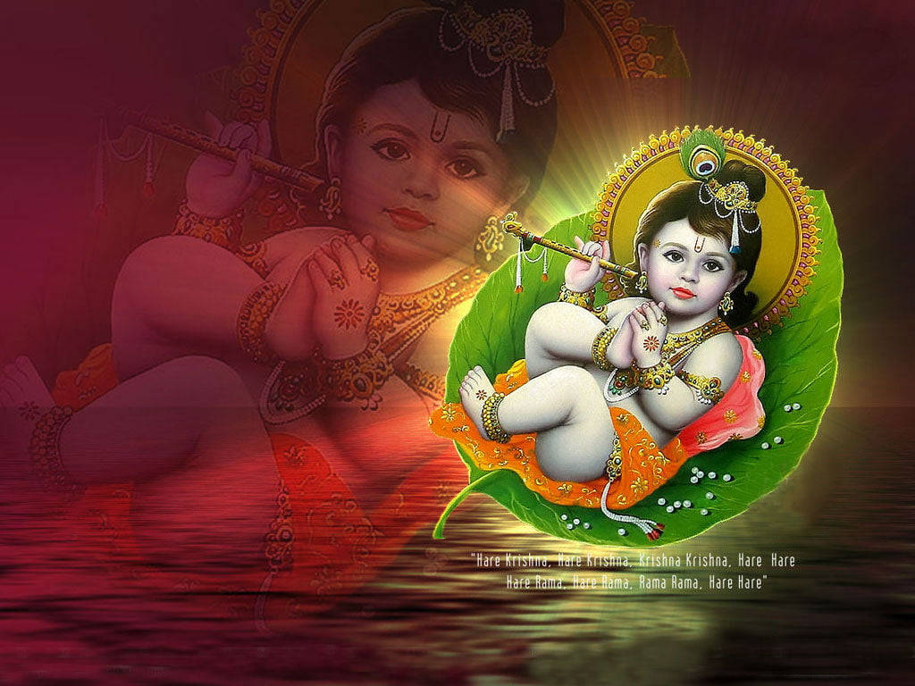 Little Beautiful Krishna Hindu God Wallpaper