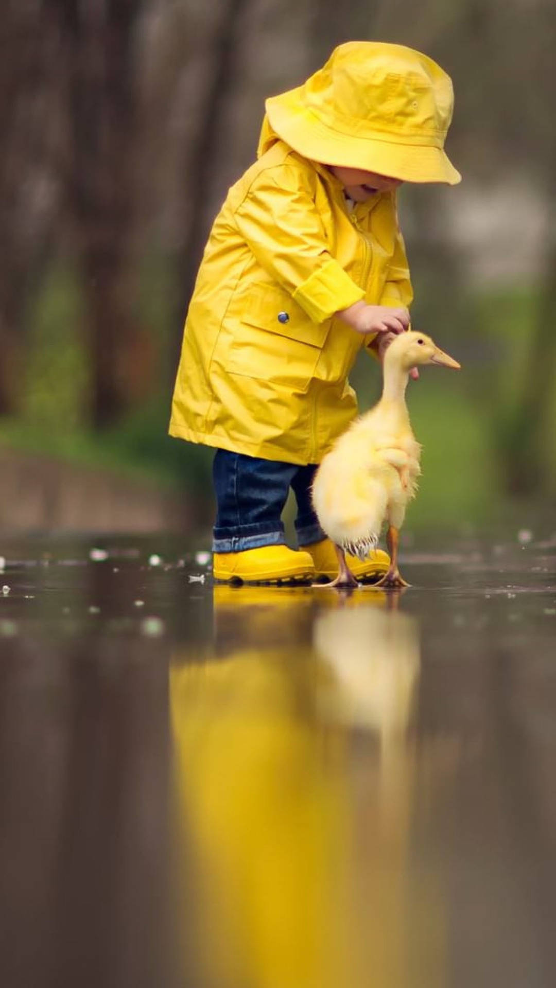 Little Boy Playing With Ducks 2160x3840 Wallpaper