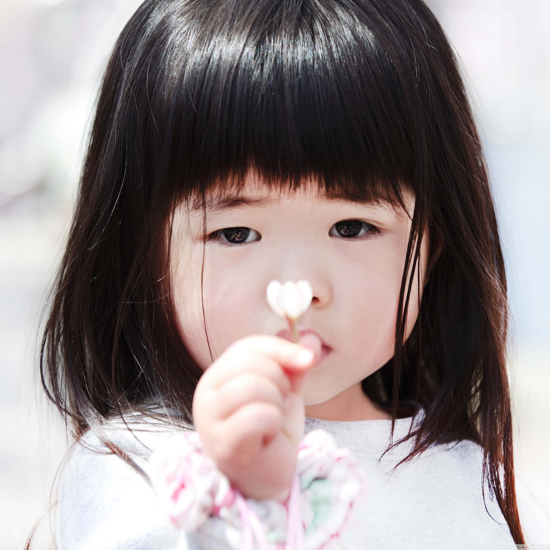 Little Girl Holding Flower Closeup Wallpaper