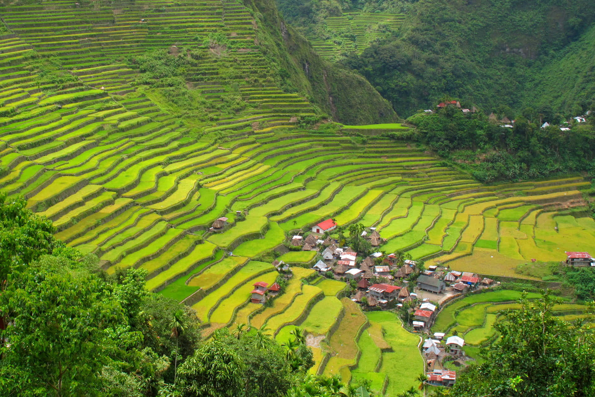 Little Houses In Banaue Rice Terraces Wallpaper