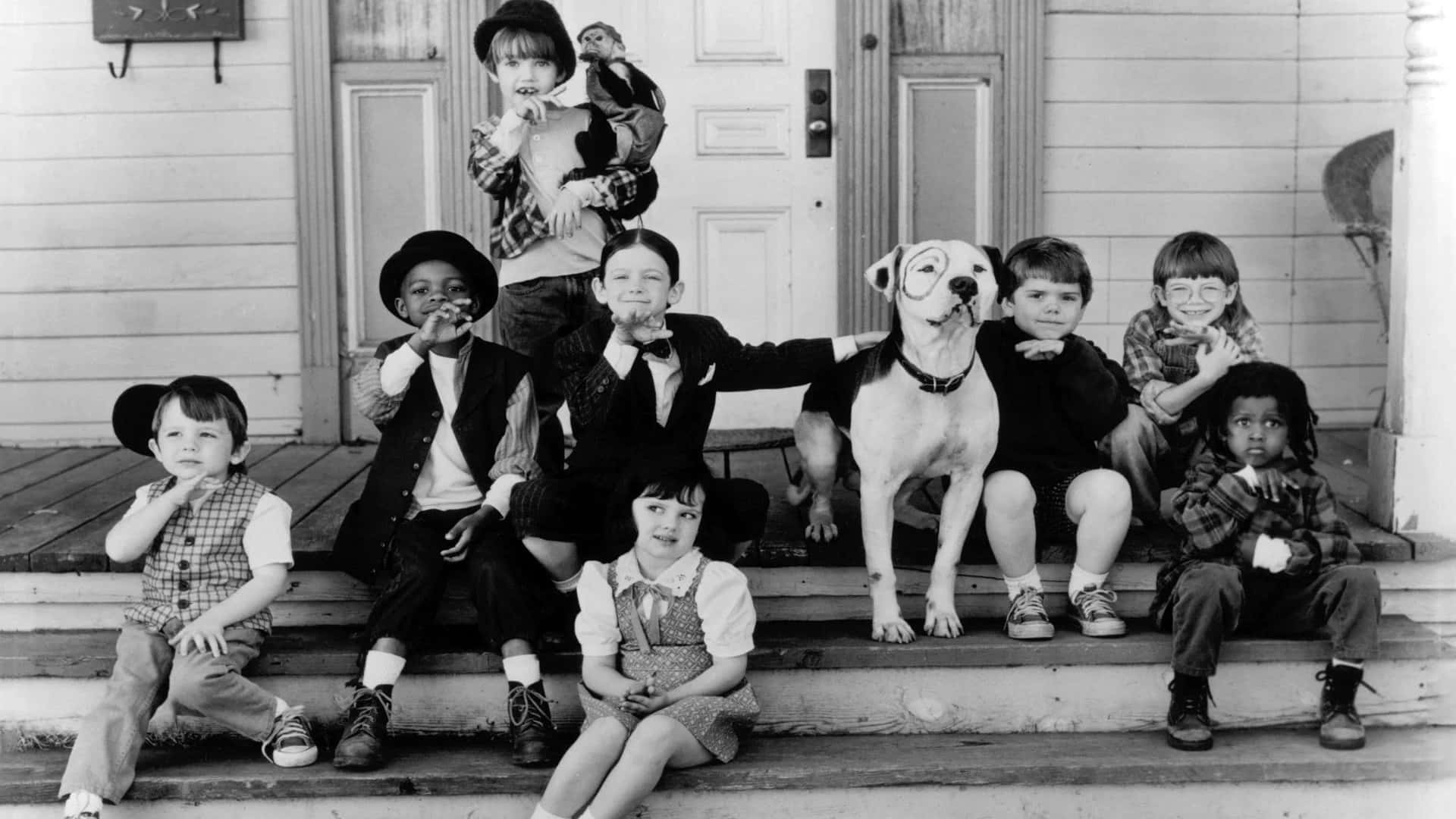 A Group Of Children And A Dog On The Steps