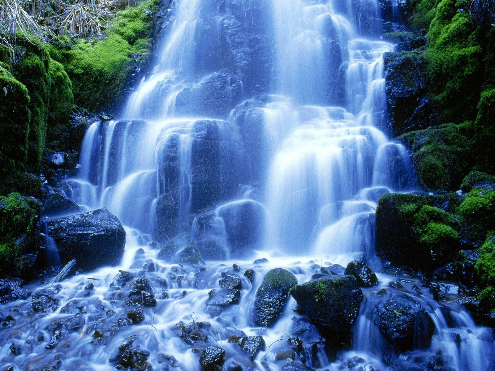 Live 3d Mossy Waterfall Picture
