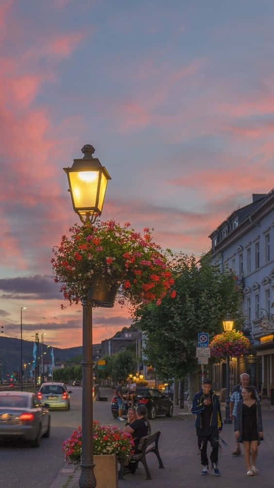 Live Aesthetic Lamp Post Flowers Europe Picture