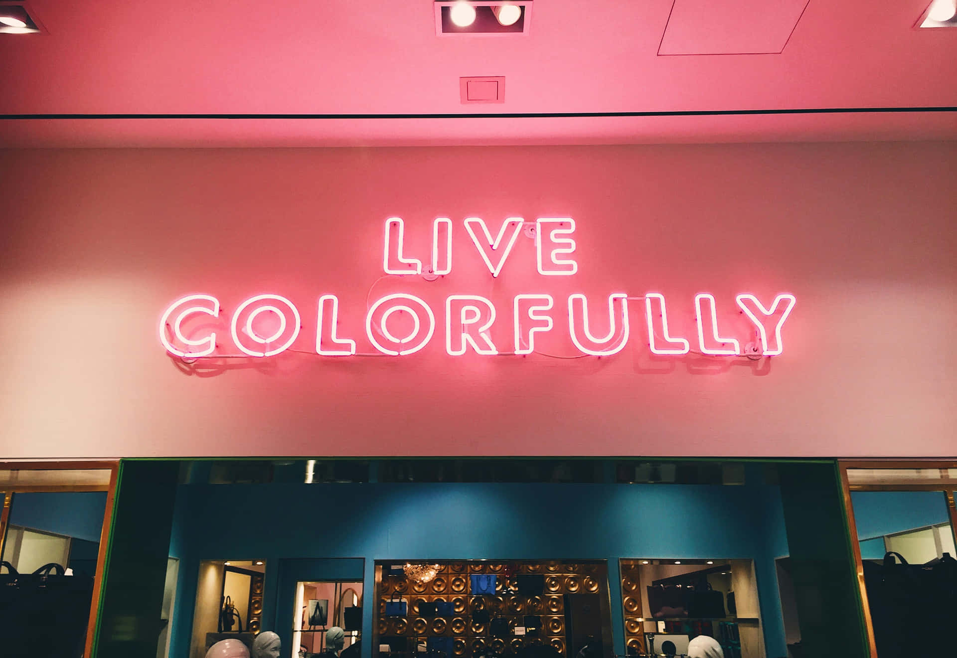 Live Colorfully Neon Sign Wallpaper