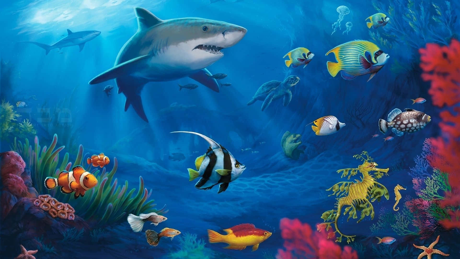 Lebendigefische Mit Einem Hai Unter Wasser Wallpaper