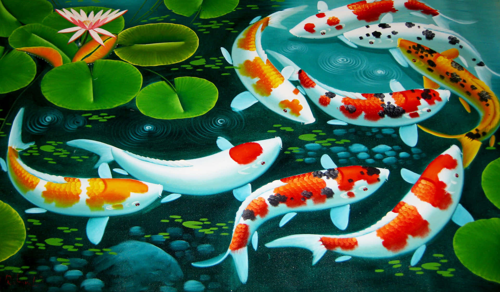 Upclose look of beautiful vibrant colored tropical fish Wallpaper