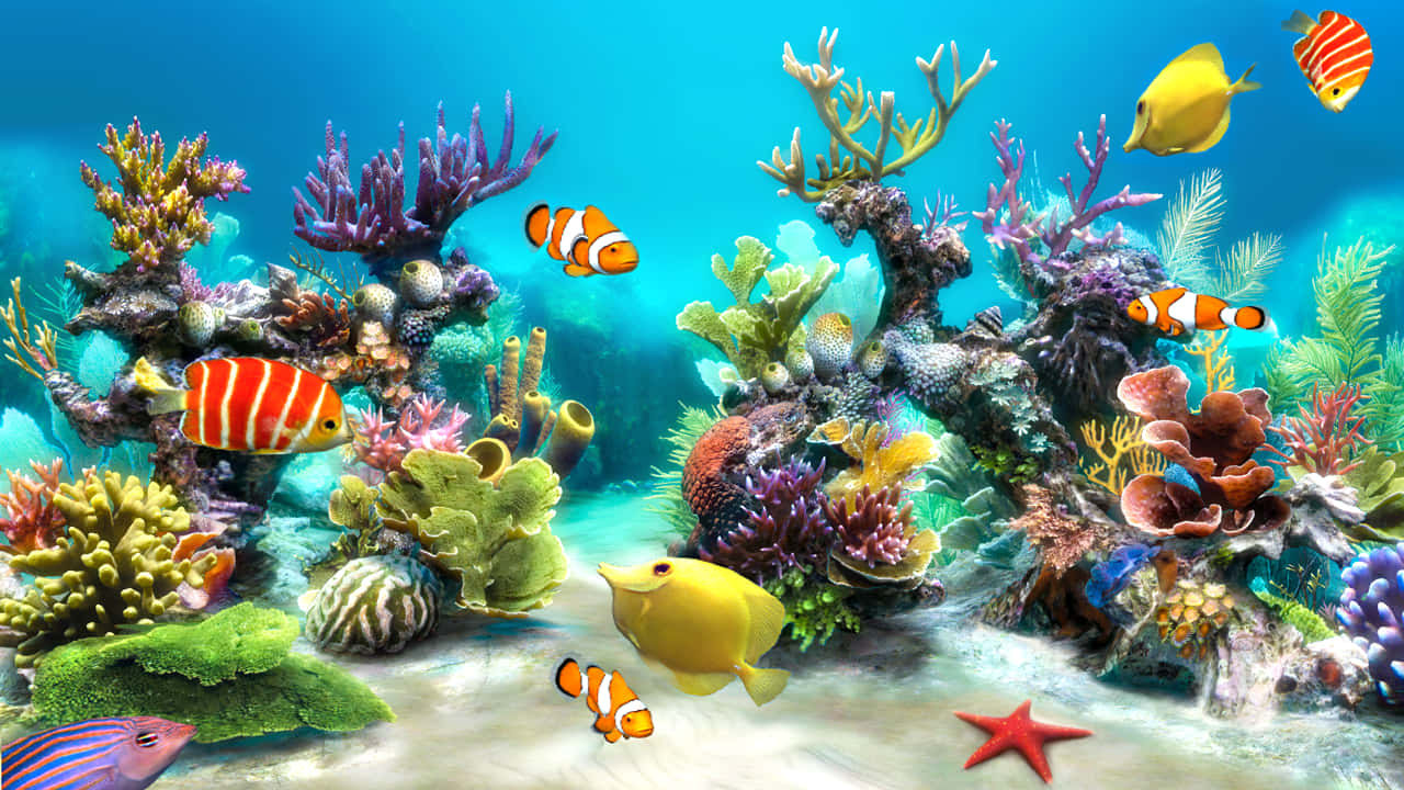Farverige levende fisk svømmer i et tropisk akvarium. Wallpaper