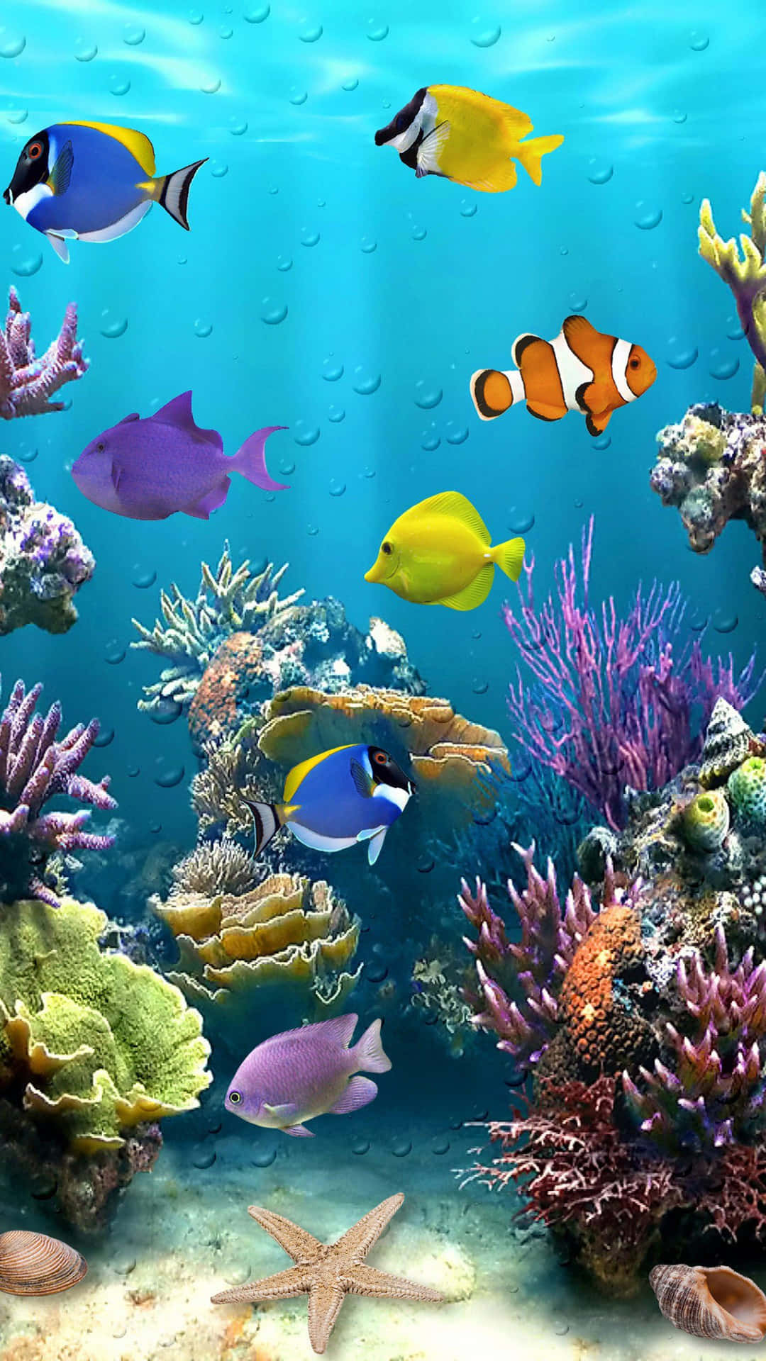 Papelde Parede De Aquário Ao Vivo Com Peixe Nemo. Papel de Parede