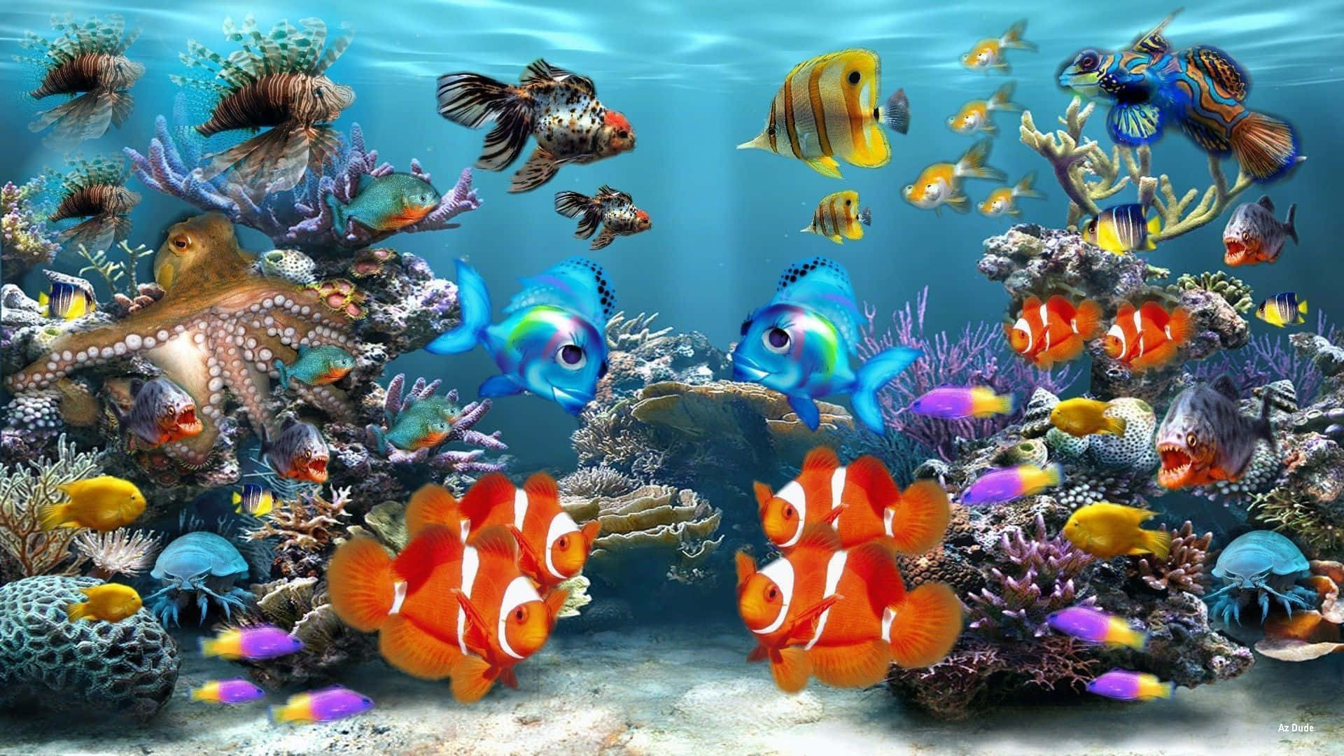 A Colorful Underwater Scene With Many Fish Wallpaper
