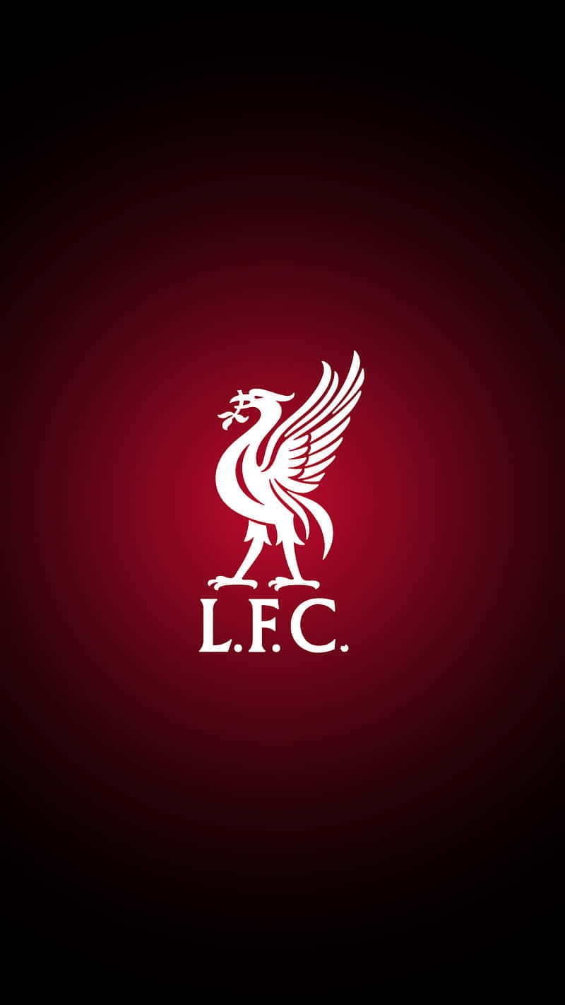 Lucea La Moda Con Una Funda De Iphone Con El Logo Del Equipo De Liverpool. Fondo de pantalla