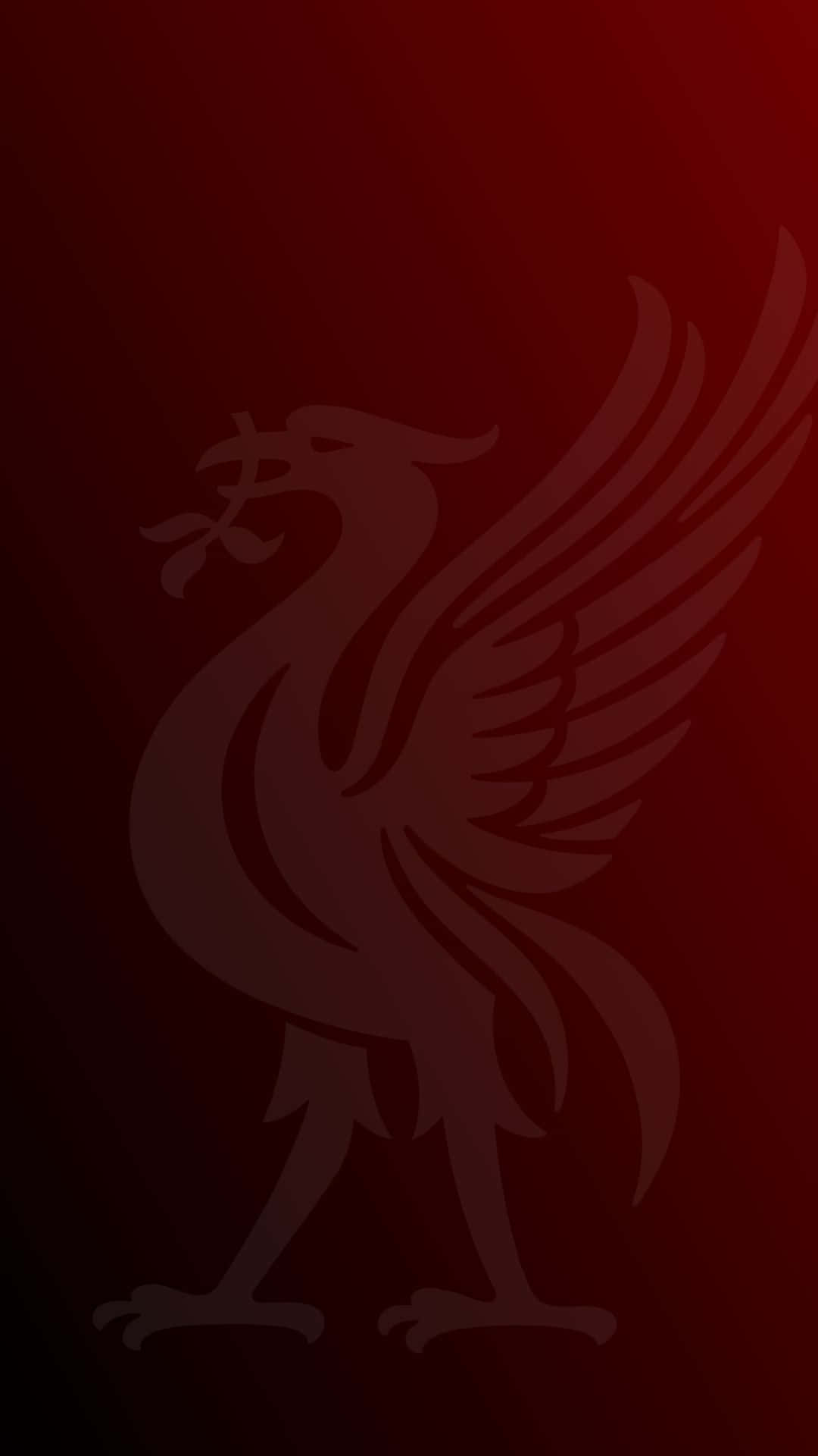 Liverpool fans praising the power of their iPhones! Wallpaper