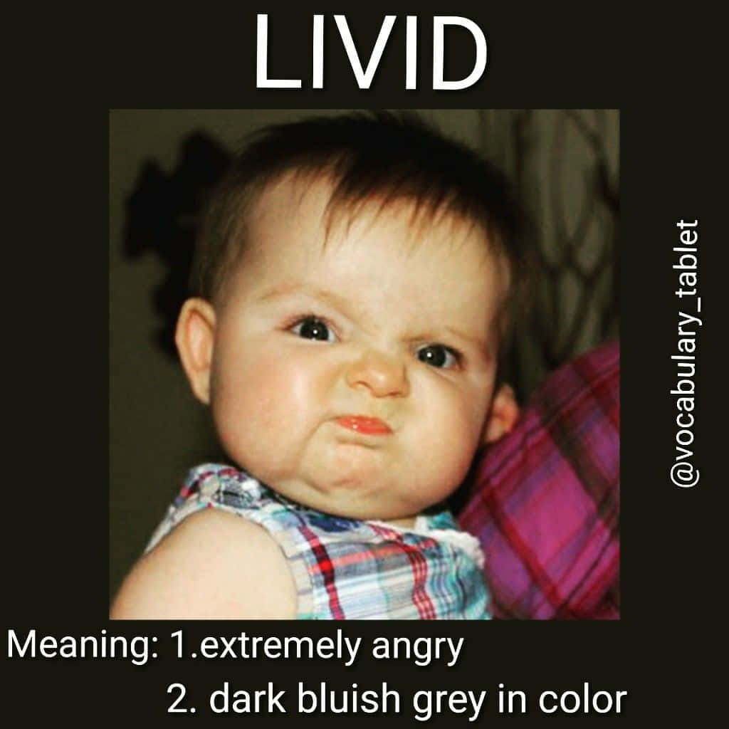 Livid Baby Expression Meme Wallpaper